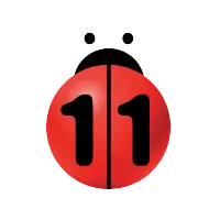 N11